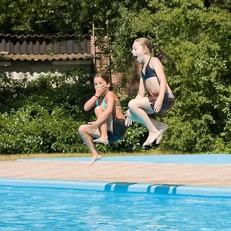 Heerlijk Bos Met Ongekende Rust En Vrijheid 펜션