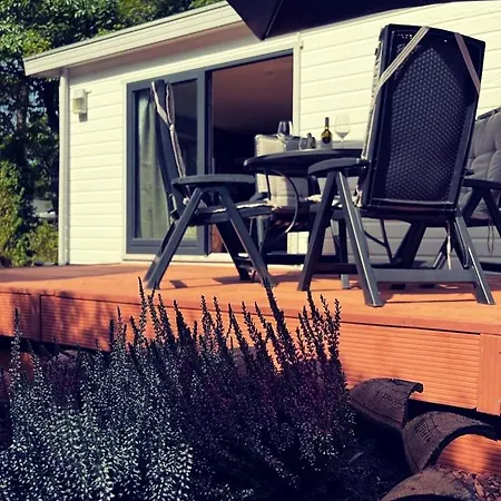 Heerlijk Bos Met Ongekende Rust En Vrijheid Nunspeet