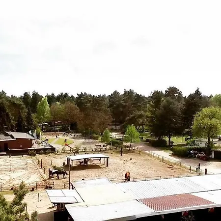 Heerlijk Bos Met Ongekende Rust En Vrijheid