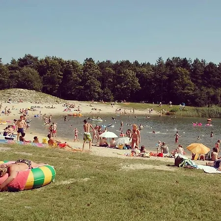 Heerlijk Bos Met Ongekende Rust En Vrijheid 넌스피트