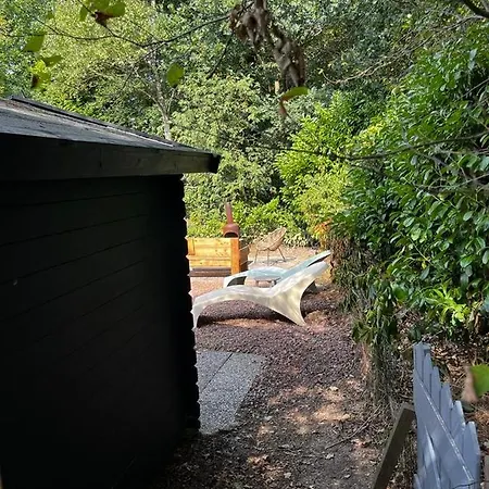 Heerlijk Bos Met Ongekende Rust En Vrijheid Holiday home