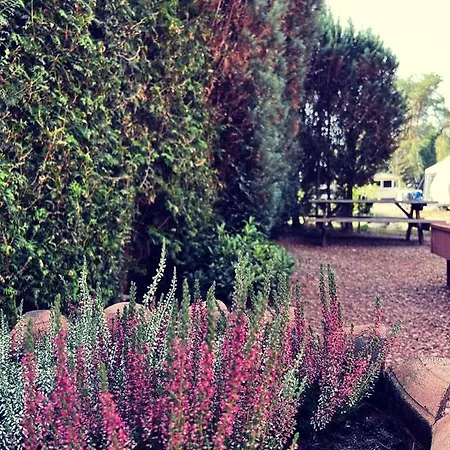 Holiday home Heerlijk Bos Met Ongekende Rust En Vrijheid *