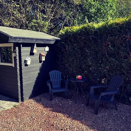 Heerlijk Bos Met Ongekende Rust En Vrijheid Holiday home