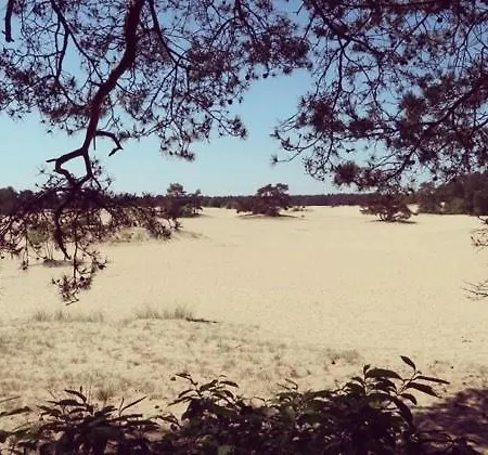 Hébergement de vacances Heerlijk Bos Met Ongekende Rust En Vrijheid *