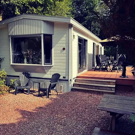 Heerlijk Bos Met Ongekende Rust En Vrijheid Holiday home Nunspeet