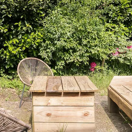 Heerlijk Bos Met Ongekende Rust En Vrijheid 넌스피트