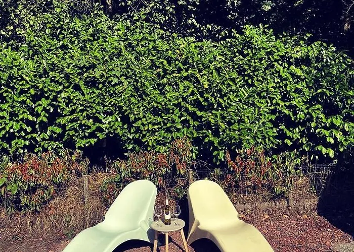 Heerlijk Bos Met Ongekende Rust En Vrijheid