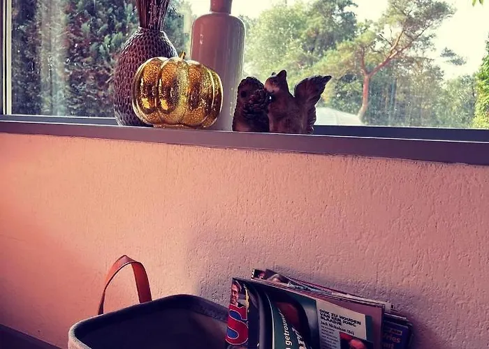 Heerlijk Bos Met Ongekende Rust En Vrijheid Сasa de vacaciones *