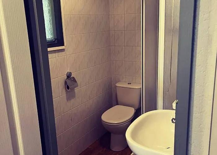 Heerlijk Bos Met Ongekende Rust En Vrijheid Nunspeet