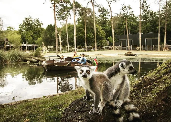 Heerlijk Bos Met Ongekende Rust En Vrijheid * Nunspeet