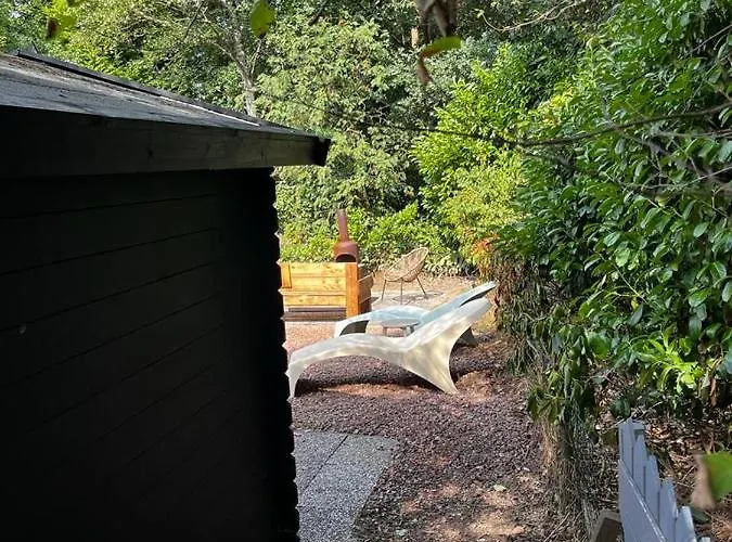 Heerlijk Bos Met Ongekende Rust En Vrijheid Сasa de vacaciones