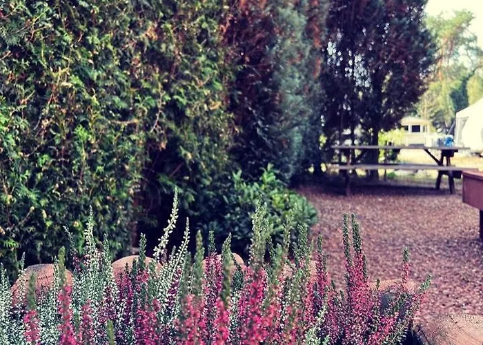 Сasa de vacaciones Heerlijk Bos Met Ongekende Rust En Vrijheid *