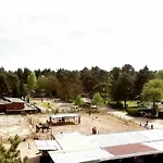Heerlijk Bos Met Ongekende Rust En Vrijheid