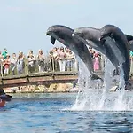 Heerlijk Bos Met Ongekende Rust En Vrijheid 宁斯佩特