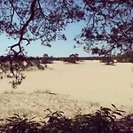 度假居 Heerlijk Bos Met Ongekende Rust En Vrijheid *