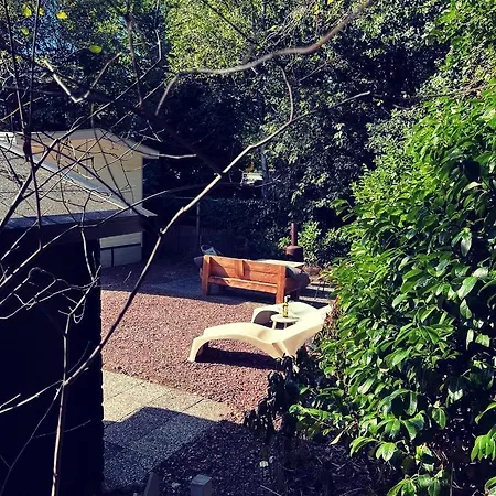 Vakantiehuis Heerlijk Bos Met Ongekende Rust En Vrijheid