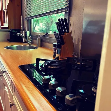 Heerlijk Bos Met Ongekende Rust En Vrijheid Vakantiehuis