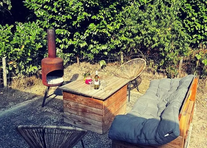 Heerlijk Bos Met Ongekende Rust En Vrijheid Nunspeet