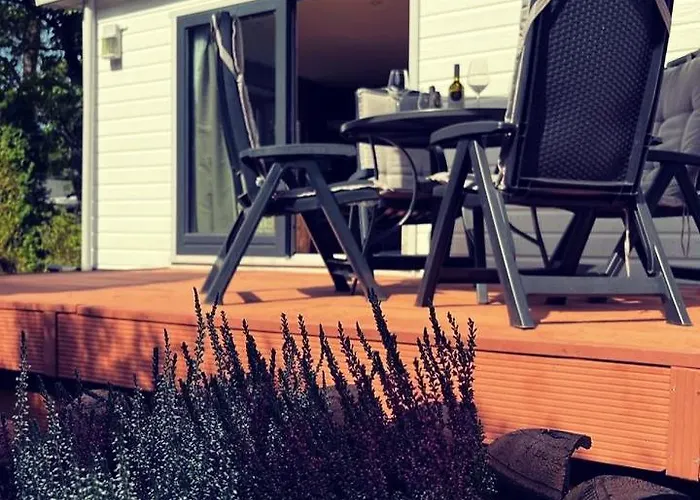 Heerlijk Bos Met Ongekende Rust En Vrijheid Nunspeet