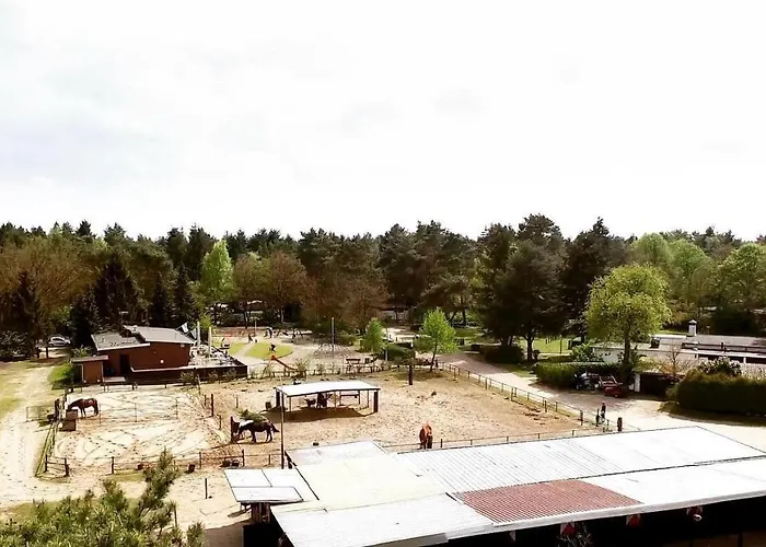 Heerlijk Bos Met Ongekende Rust En Vrijheid