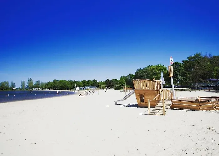 Heerlijk Bos Met Ongekende Rust En Vrijheid * Nunspeet