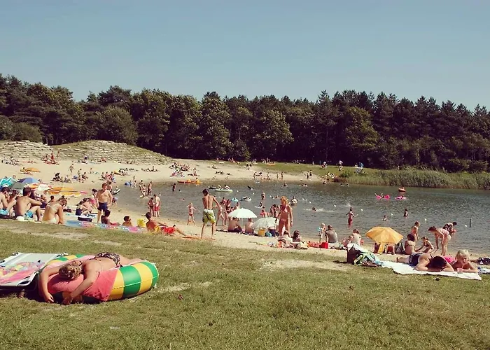 Heerlijk Bos Met Ongekende Rust En Vrijheid Nunspeet