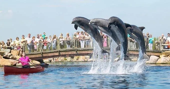 Heerlijk Bos Met Ongekende Rust En Vrijheid Nunspeet
