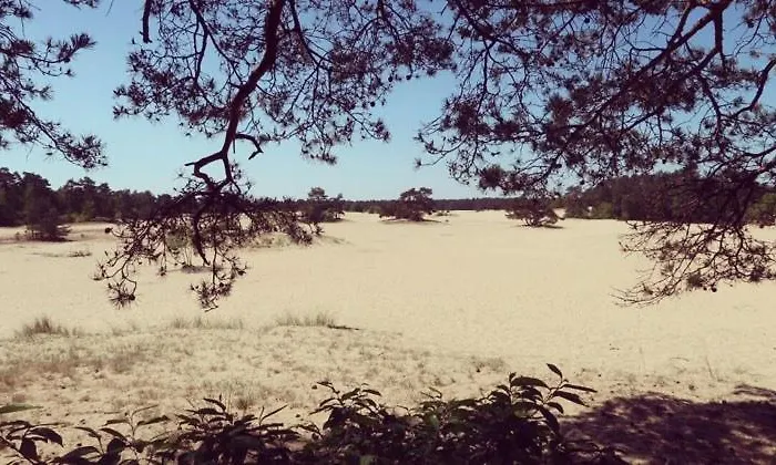 Dom wakacyjny Heerlijk Bos Met Ongekende Rust En Vrijheid *