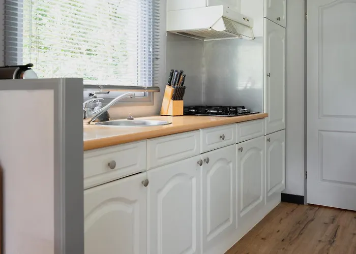 Heerlijk Bos Met Ongekende Rust En Vrijheid Nunspeet