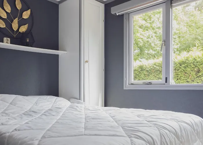 Heerlijk Bos Met Ongekende Rust En Vrijheid * Nunspeet