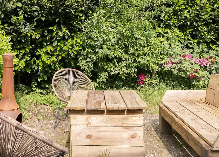 Heerlijk Bos Met Ongekende Rust En Vrijheid Nunspeet